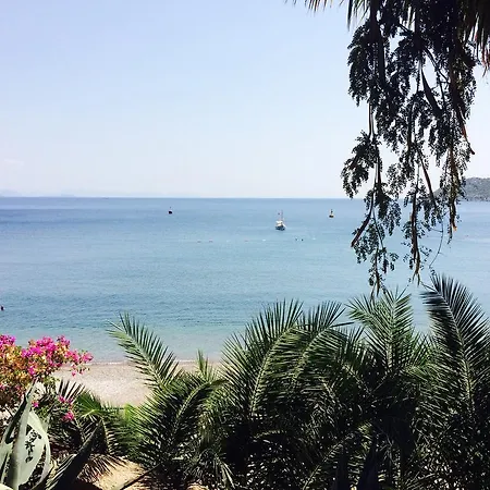 Ośrodek wypoczynkowy Pine Beach Boutique Turunç